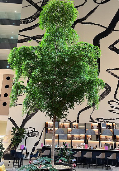 Baum im Hotel - Genf