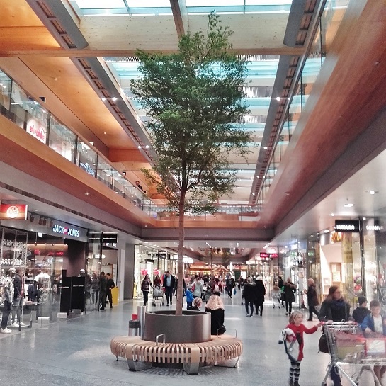 Baum in Shopping Mall - kaufen, pflanzen, wie hier im Vorarlberg - Austria Baum shopping mall kaufen pflanzen vorarlberg